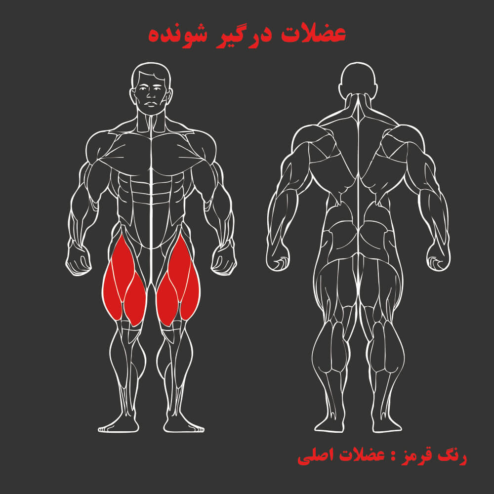 عضلات درگیر در دستگاه بدنسازی جلو پا